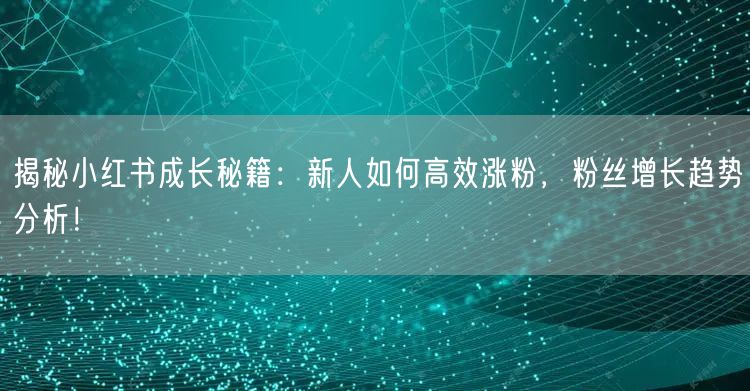 揭秘小红书成长秘籍：新人如何高效涨粉，粉丝增长趋势分析！