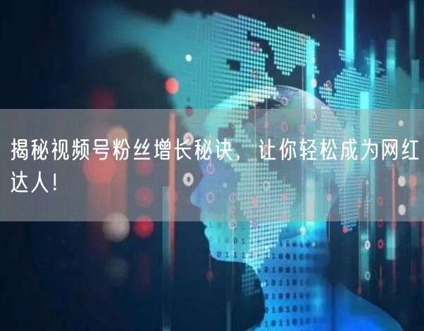 揭秘视频号粉丝增长秘诀，让你轻松成为网红达人！