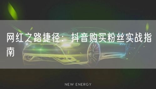 网红之路捷径：抖音购买粉丝实战指南