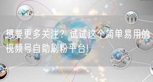 想要更多关注？试试这个简单易用的视频号自助刷粉平台!