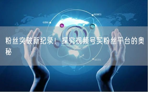 粉丝突破新纪录！探究视频号买粉丝平台的奥秘