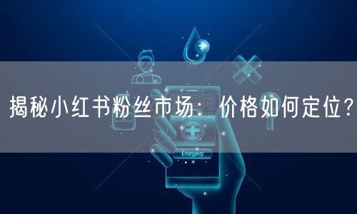 揭秘小红书粉丝市场：价格如何定位？