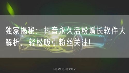 独家揭秘：抖音永久活粉增长软件大解析，轻