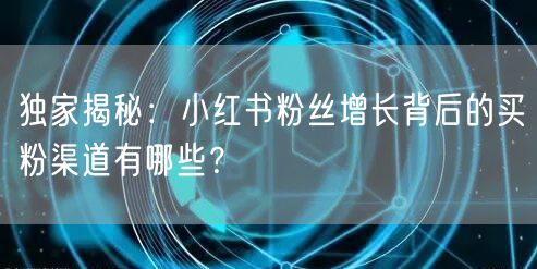 独家揭秘：小红书粉丝增长背后的买粉渠道有哪些？