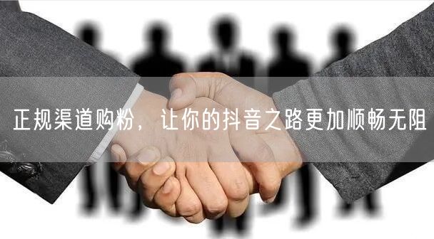 正规渠道购粉，让你的抖音之路更加顺畅无阻