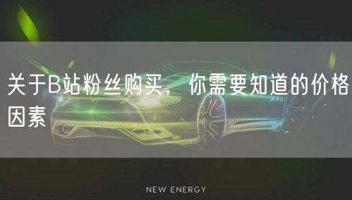 关于B站粉丝购买，你需要知道的价格因素