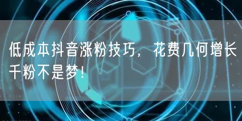 低成本抖音涨粉技巧，花费几何增长千粉不是梦！