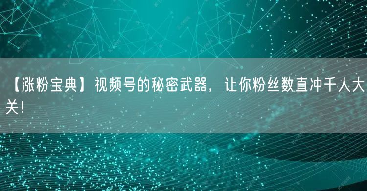 【涨粉宝典】视频号的秘密武器，让你粉丝数直冲千人大关！