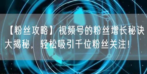 【粉丝攻略】视频号的粉丝增长秘诀大揭秘，轻松吸引千位粉丝关注！