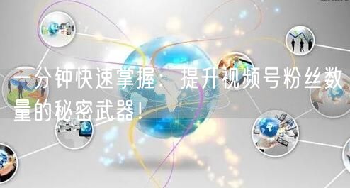 一分钟快速掌握：提升视频号粉丝数量的秘密武器！