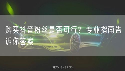 购买抖音粉丝是否可行？专业指南告诉你答案