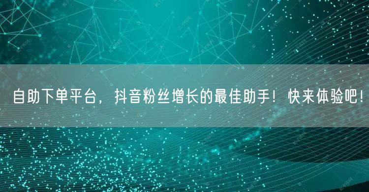 自助下单平台，抖音粉丝增长的最佳助手！快来体验吧！