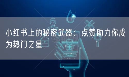 小红书上的秘密武器：点赞助力你成为热门之