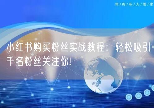 小红书购买粉丝实战教程：轻松吸引千名粉丝