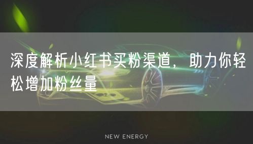 深度解析小红书买粉渠道，助力你轻松增加粉