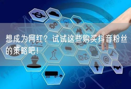 想成为网红？试试这些购买抖音粉丝的策略吧！