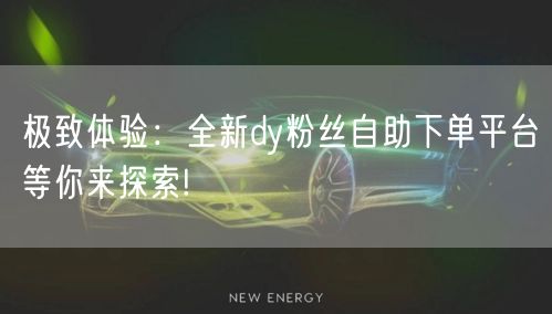 极致体验：全新dy粉丝自助下单平台等你来
