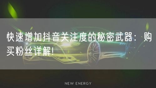 快速增加抖音关注度的秘密武器：购买粉丝详解!