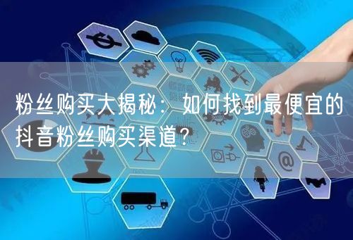 粉丝购买大揭秘：如何找到最便宜的抖音粉丝购买渠道？