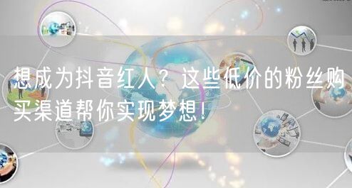 想成为抖音红人？这些低价的粉丝购买渠道帮你实现梦想！