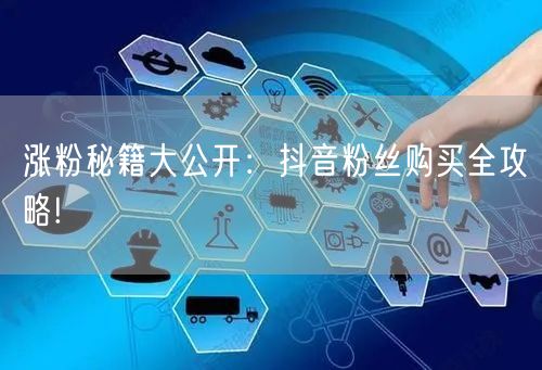 涨粉秘籍大公开：抖音粉丝购买全攻略!