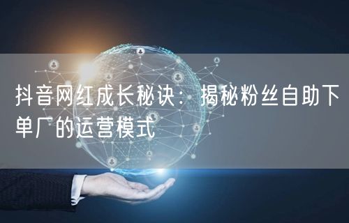 抖音网红成长秘诀：揭秘粉丝自助下单厂的运营模式