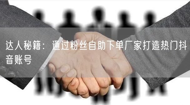 达人秘籍：通过粉丝自助下单厂家打造热门抖音账号